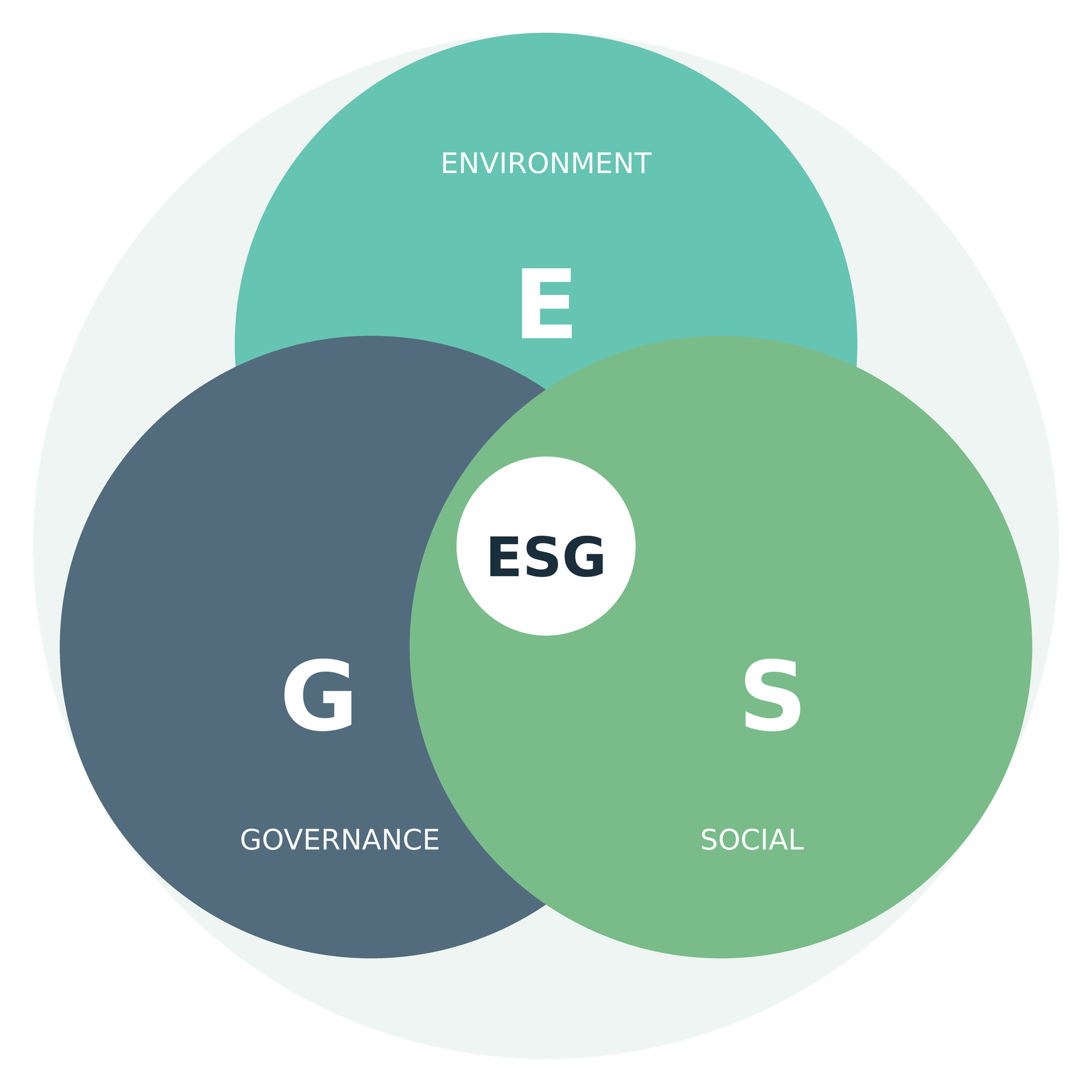 ES ESG White Paper